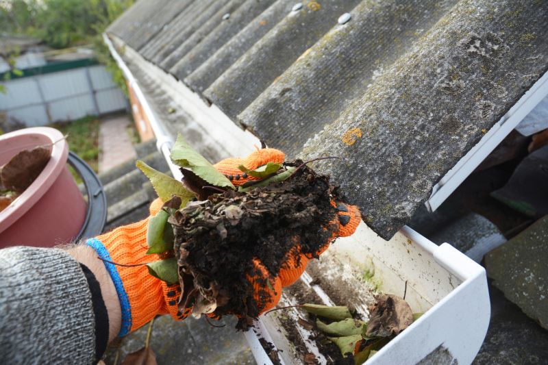 Gutter Cleaning in Longmont, CO