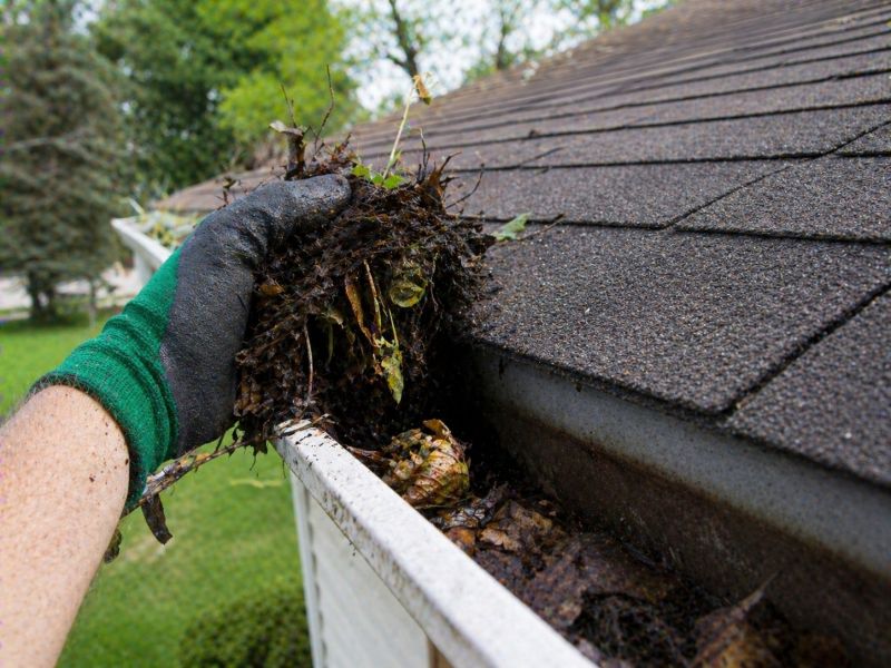 Gutter Leaf Clearing in Long Island, NY