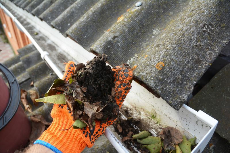 Gutter Pine Needle Removal in Westchester County, NY