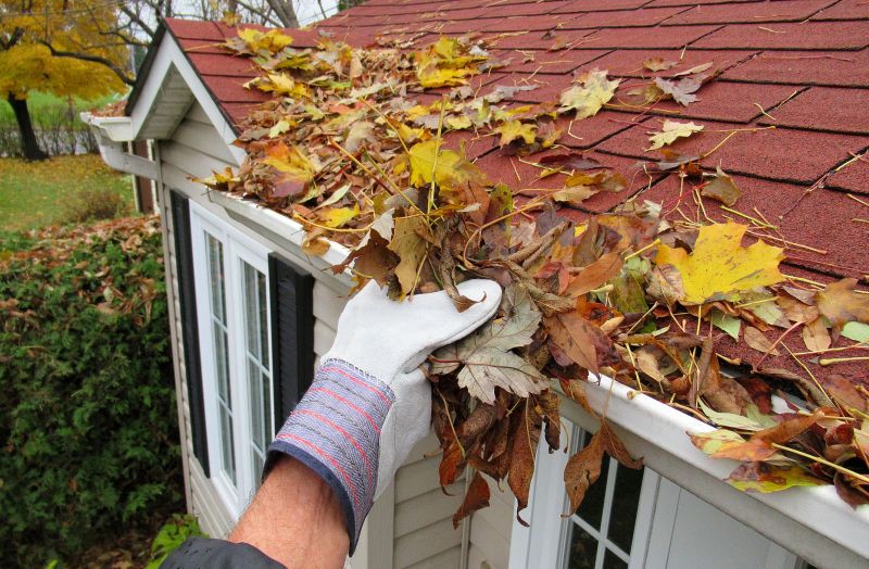 Gutter Pine Needle Removal in Rochester, NY